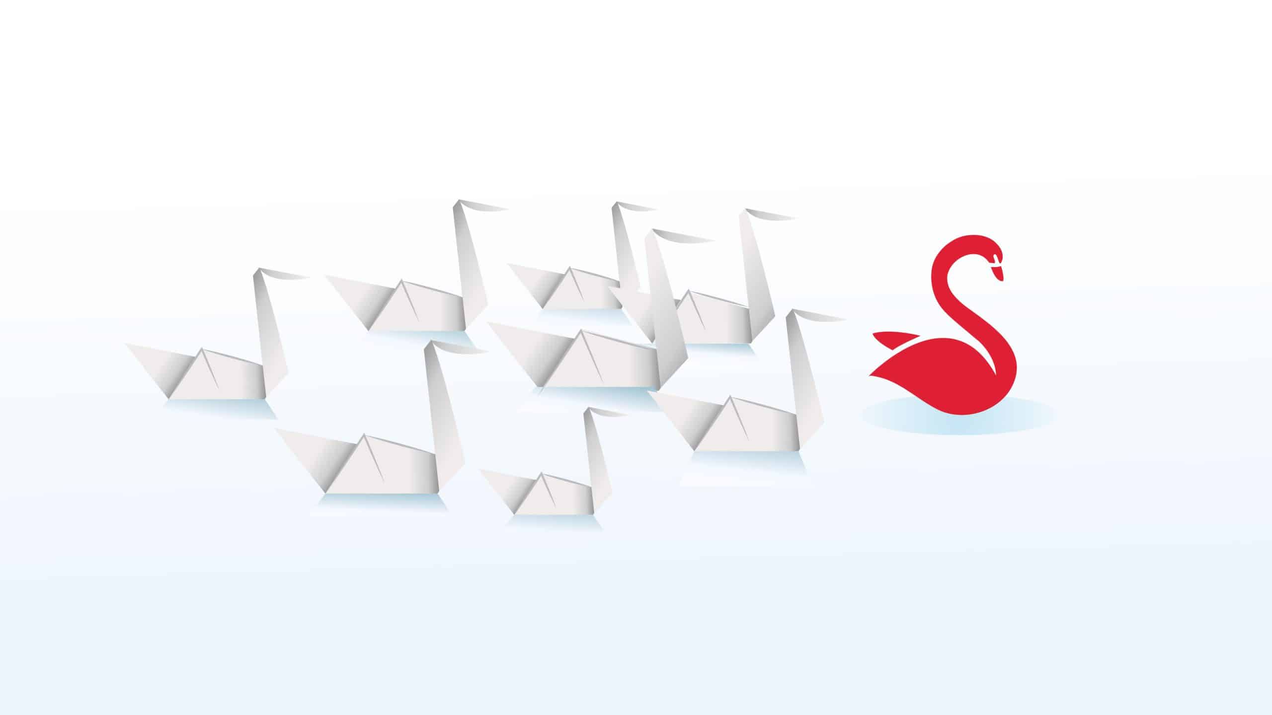follow redswan