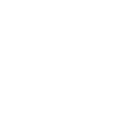 real estate agent